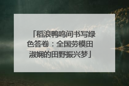 稻浪鸭鸣间书写绿色答卷：全国劳模田淑娴的田野振兴梦
